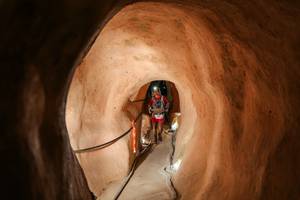 BIB: 
                            <button type="button" onclick="openModal(26241697)" class="btn btn-primary btn-sm float-right btn-popup" data-toggle="modal" data-target=".modal-high-quality">
                        <i class="fas fa-shopping-cart"></i> Add to Cart
                    </button>
                                            <button type="button" onclick="isThisMe(26241697, true)" class="btn btn-success btn-sm float-right btn-popup btn-isme hidden" data-toggle="tooltip" data-placement="bottom" title="นี่คือรูปของคุณใช่ไหม คลิกที่นี่เพื่อเอาเข้าอัลบั้ม">
                        <i class="fas fa-plus"></i> Add to album
                    </button>
                    <button type="button" onclick="isThisMe(26241697, false)" class="btn btn-warning btn-sm float-right btn-popup btn-isnotme hidden">
                        <i class="fas fa-ban"></i> Remove from album
                    </button>